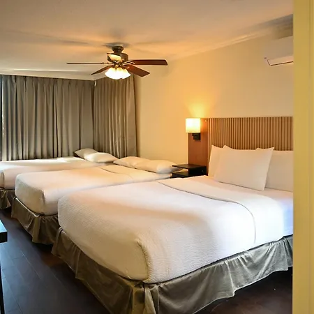 Hotel Opportune-3
